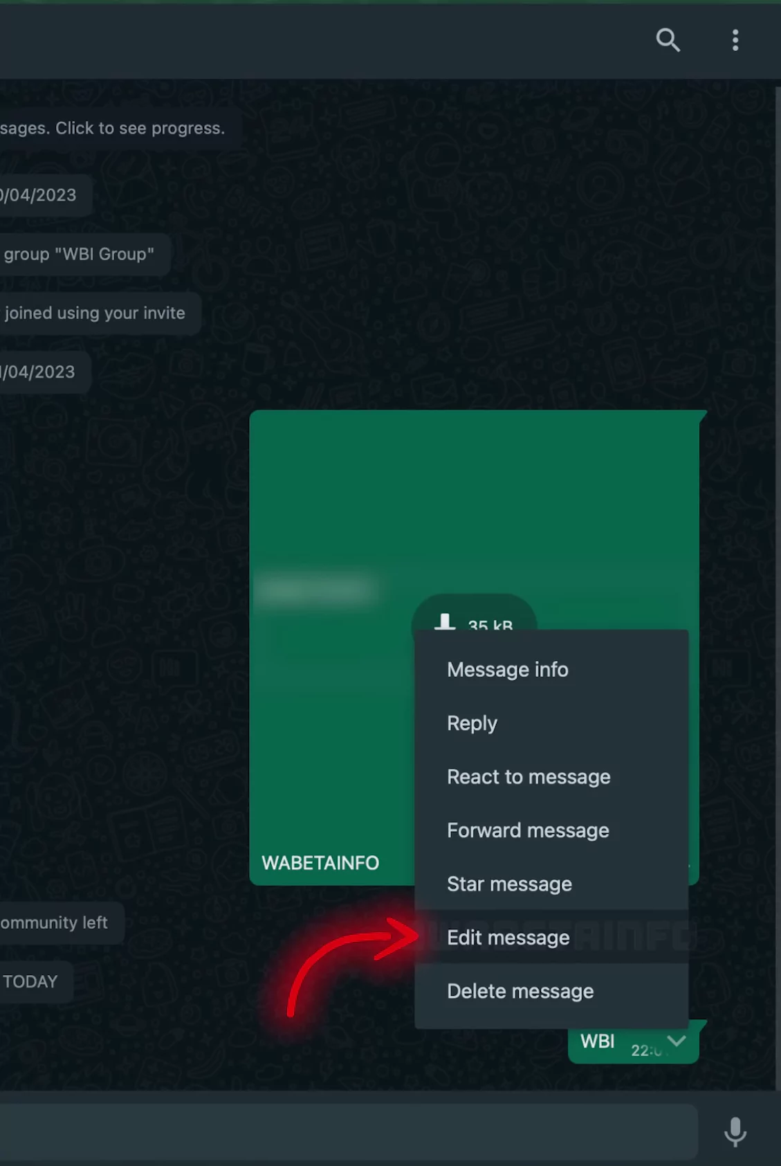 Edit Messages on WhatsApp S1